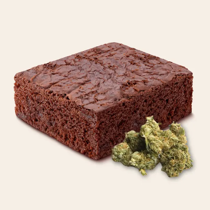 Tropical Blaze Brownie