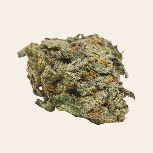 White Rhino